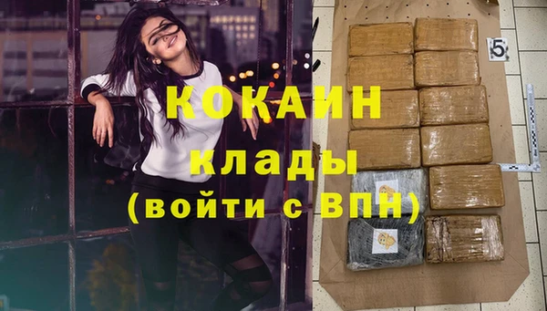 твердый Коряжма