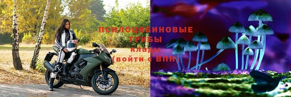 твердый Коряжма