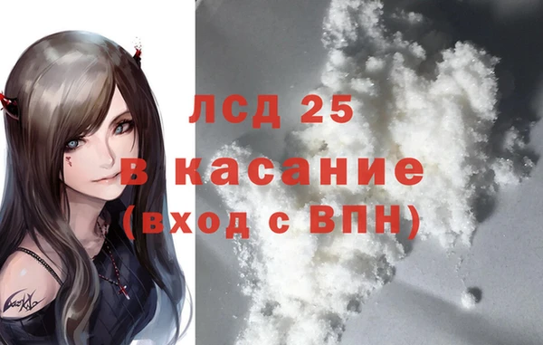 прущие грибы Козловка