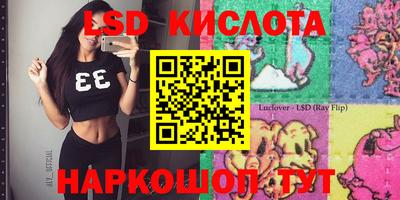 крисы Коммунар
