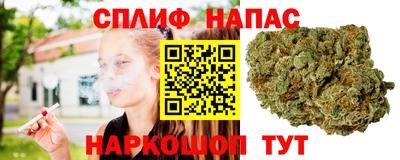 крисы Коммунар