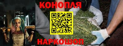 крисы Коммунар