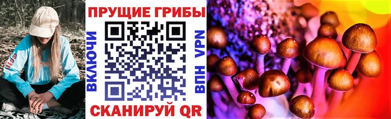 хочу наркоту Карталы сайты даркнета наркотические препараты Псилоцибиновые грибы Psilocybine cubensis